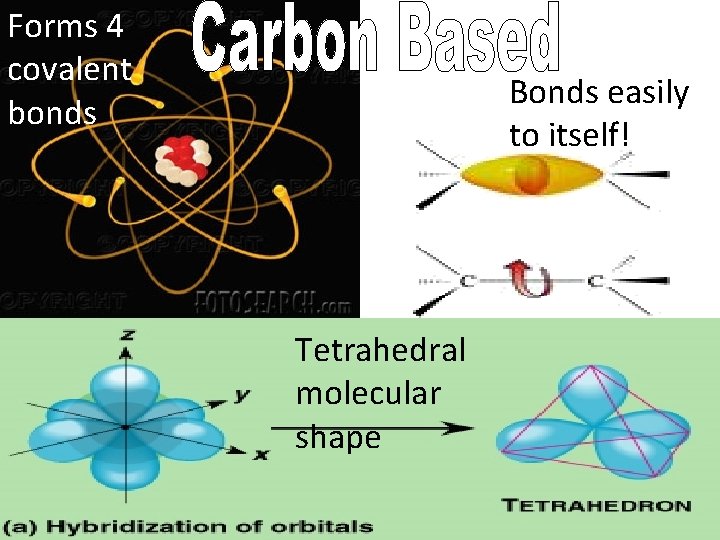 Forms 4 covalent bonds Bonds easily to itself! Tetrahedral molecular shape 
