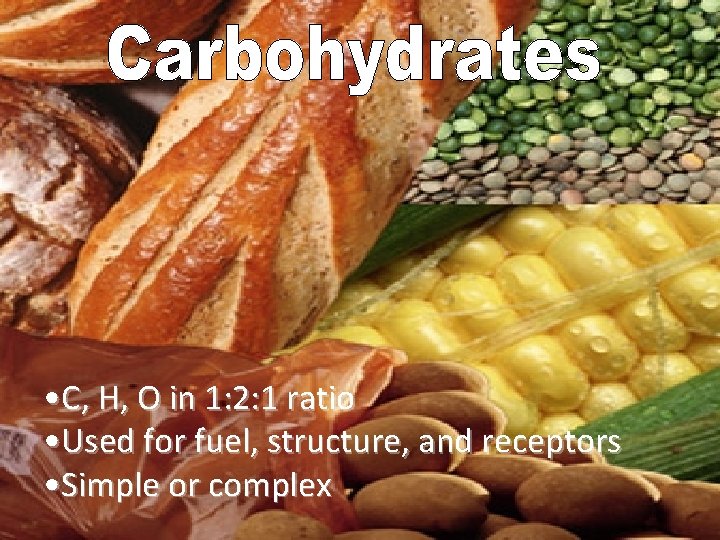  • C, H, O in 1: 2: 1 ratio • Used for fuel,