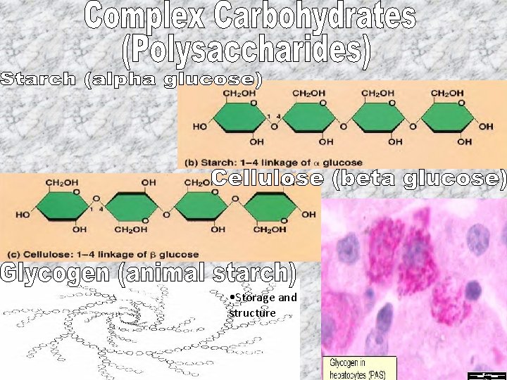  • Storage and structure 