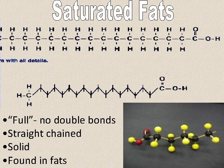  • “Full”- no double bonds • Straight chained • Solid • Found in