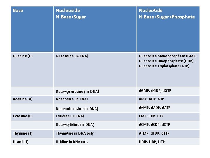 Base Nucleoside N-Base+Sugar Nucleotide N-Base+Sugar+Phosphate Guanine (G) Guanosine (in RNA) Guanosine Monophosphate (GMP) Guanosine