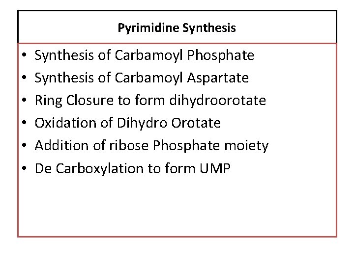 Pyrimidine Synthesis • • • Synthesis of Carbamoyl Phosphate Synthesis of Carbamoyl Aspartate Ring