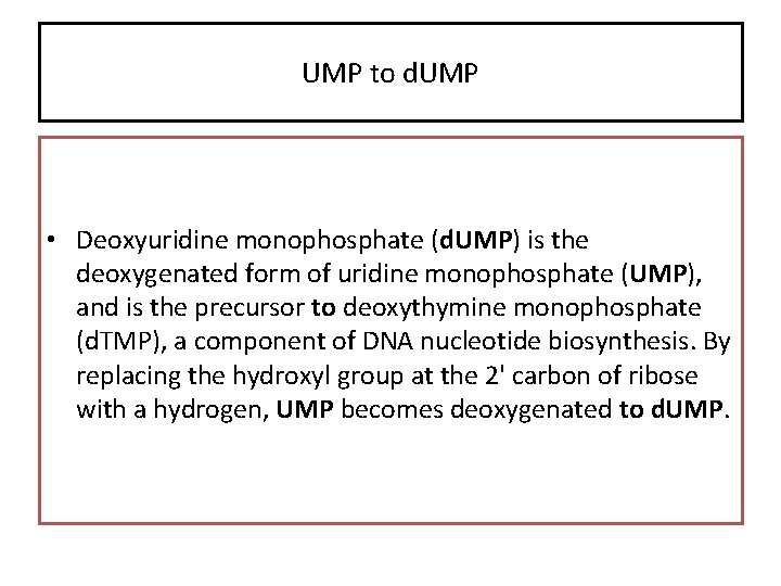 UMP to d. UMP • Deoxyuridine monophosphate (d. UMP) is the deoxygenated form of