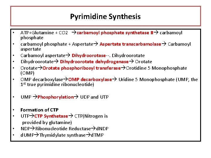 Pyrimidine Synthesis • • • ATP+Glutamine + CO 2 carbamoyl phosphate synthetase II carbamoyl
