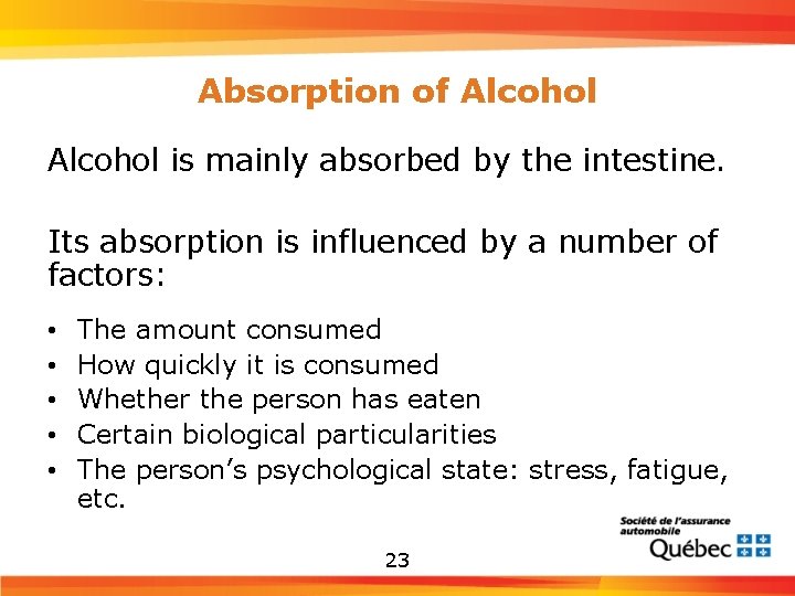 Absorption of Alcohol is mainly absorbed by the intestine. Its absorption is influenced by