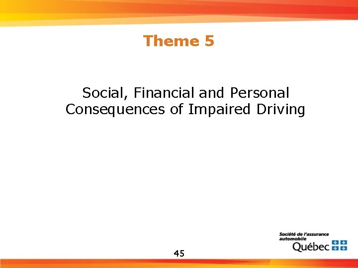 Theme 5 Social, Financial and Personal Consequences of Impaired Driving 45 
