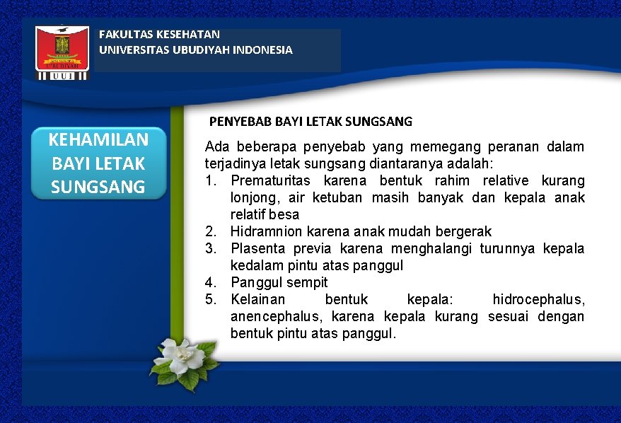 FAKULTAS KESEHATAN UNIVERSITAS UBUDIYAH INDONESIA KEHAMILAN BAYI LETAK SUNGSANG PENYEBAB BAYI LETAK SUNGSANG Ada