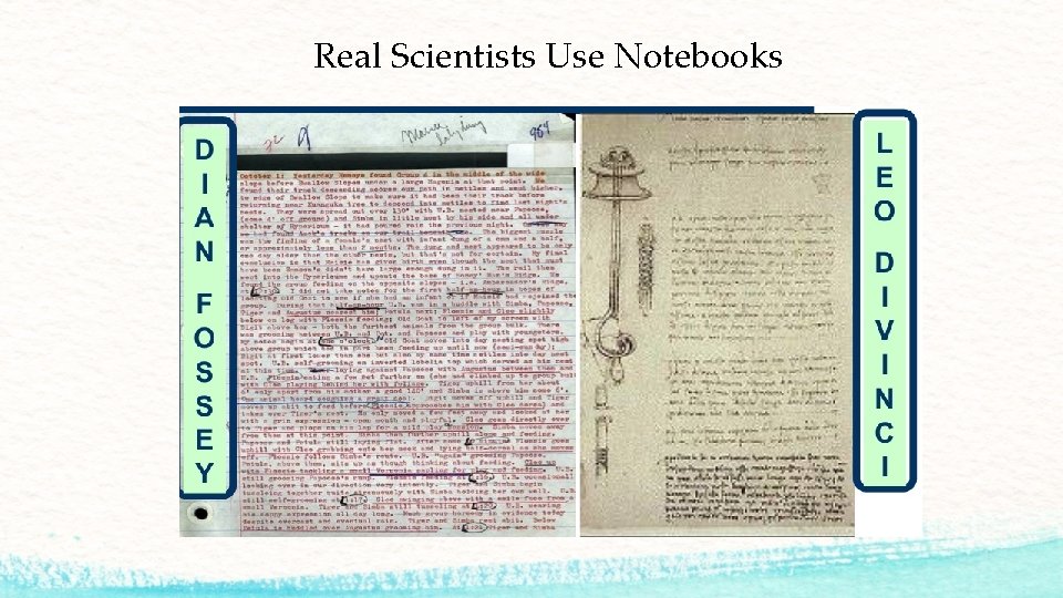 Real Scientists Use Notebooks 