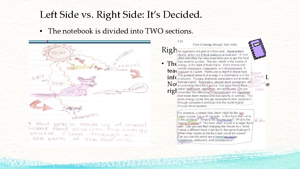 Left Side vs. Right Side: It’s Decided. • The notebook is divided into TWO