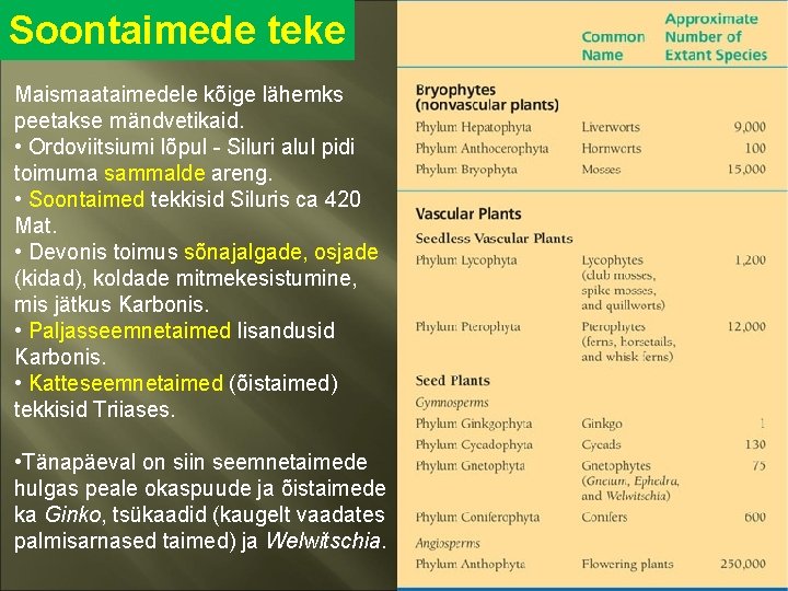 Soontaimede teke Maismaataimedele kõige lähemks peetakse mändvetikaid. • Ordoviitsiumi lõpul - Siluri alul pidi