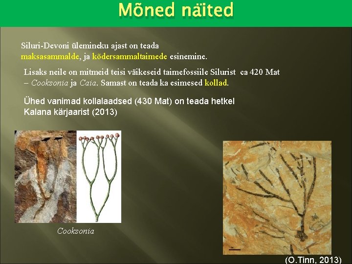 Mõned näited Siluri-Devoni ülemineku ajast on teada maksasammalde, ja kõdersammaltaimede esinemine. Lisaks neile on