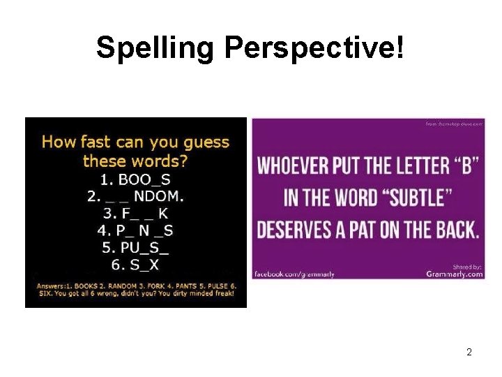 Spelling Perspective! 2 