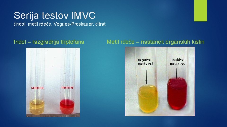 Serija testov IMVC (indol, metil rdeče, Vogues-Proskauer, citrat Indol – razgradnja triptofana Metil rdeče