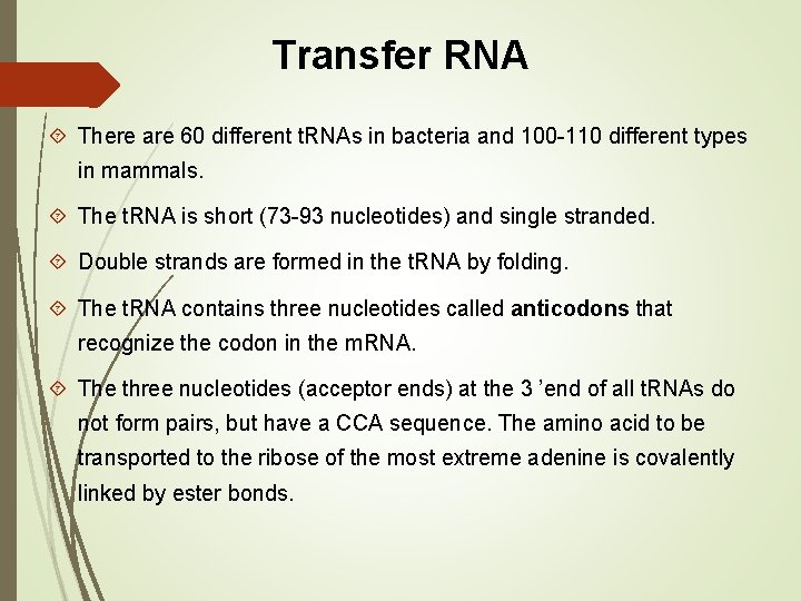 Transfer RNA There are 60 different t. RNAs in bacteria and 100 -110 different