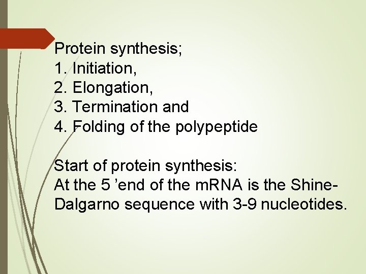 Protein synthesis; 1. Initiation, 2. Elongation, 3. Termination and 4. Folding of the polypeptide