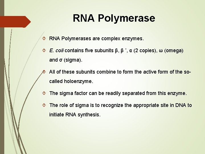 RNA Polymerase RNA Polymerases are complex enzymes. E. coli contains five subunits β, β