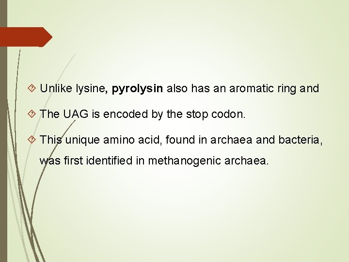  Unlike lysine, pyrolysin also has an aromatic ring and The UAG is encoded