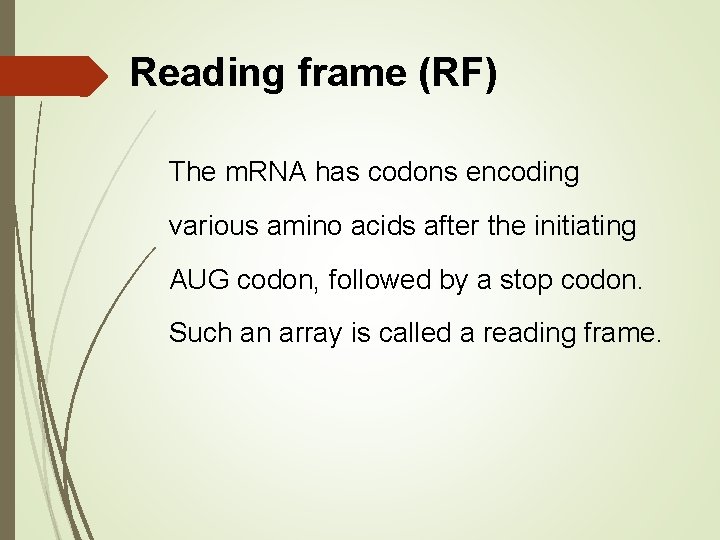 Reading frame (RF) The m. RNA has codons encoding various amino acids after the