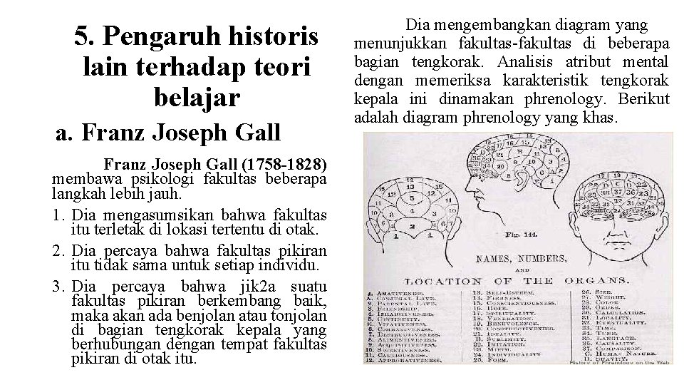 5. Pengaruh historis lain terhadap teori belajar a. Franz Joseph Gall (1758 -1828) membawa