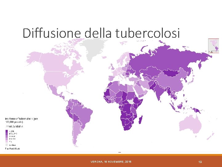 Diffusione della tubercolosi VERONA, 16 NOVEMBRE, 2018 19 