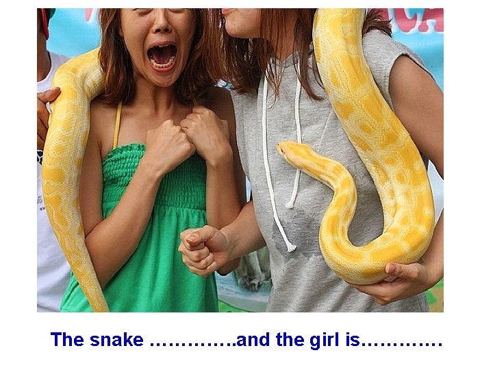 The snake …………. . and the girl is…………. 