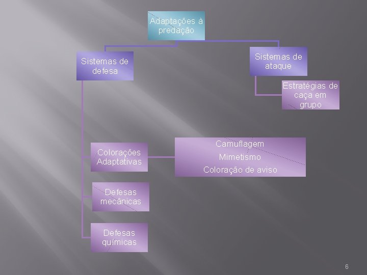 Adaptações à predação Sistemas de defesa Sistemas de ataque Estratégias de caça em grupo