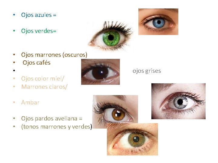  • Ojos azules = • Ojos verdes= • Ojos marrones (oscuros) • Ojos