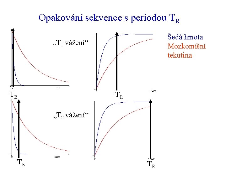 Opakování sekvence s periodou TR Šedá hmota Mozkomíšní tekutina „T 1 vážení“ TE TR