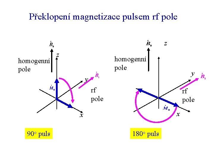 Překlopení magnetizace pulsem rf pole z homogenní pole y y rf pole x x