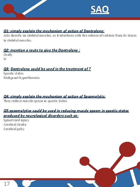 SAQ Q 1: simply explain the mechanism of action of Dantrolene: Acts directly on