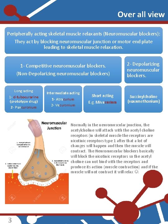 Over all view Peripherally acting skeletal muscle relaxants (Neuromuscular blockers): They act by blocking