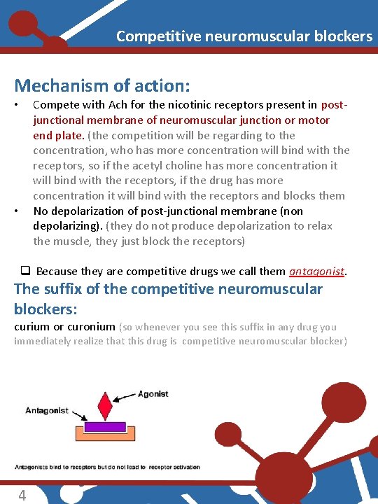 Competitive neuromuscular blockers Mechanism of action: Compete with Ach for the nicotinic receptors present