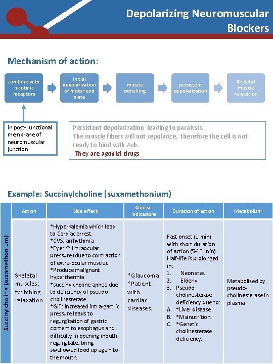 Depolarizing Neuromuscular Blockers Mechanism of action: initial depolarization of motor end plate combine with