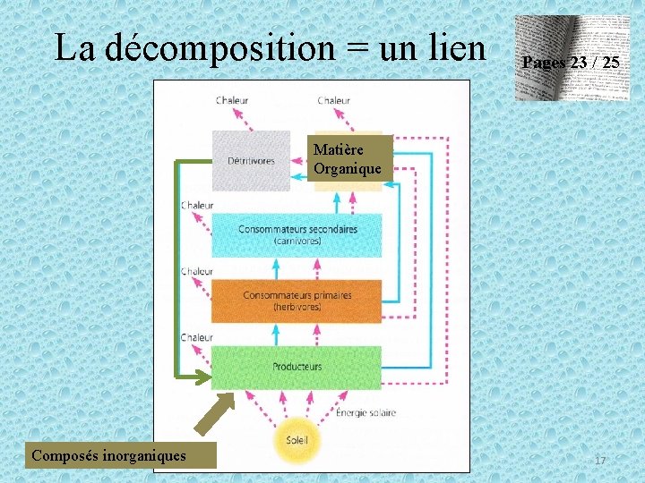 La décomposition = un lien Pages 23 / 25 Matière Organique Composés inorganiques 17