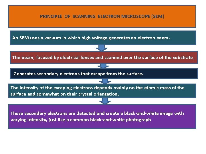 PRINCIPLE OF SCANNING ELECTRON MICROSCOPE (SEM) An SEM uses a vacuum in which high
