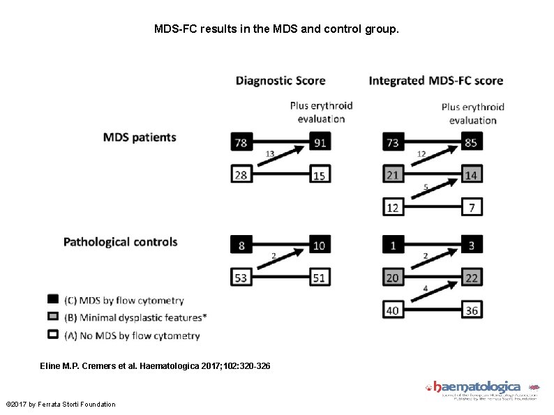 MDS-FC results in the MDS and control group. Eline M. P. Cremers et al.