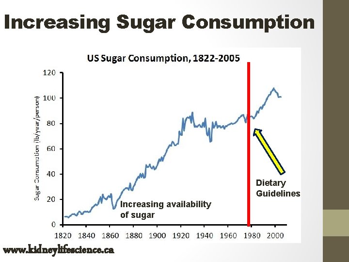 Increasing Sugar Consumption Dietary Guidelines Increasing availability of sugar www. kidneylifescience. ca 