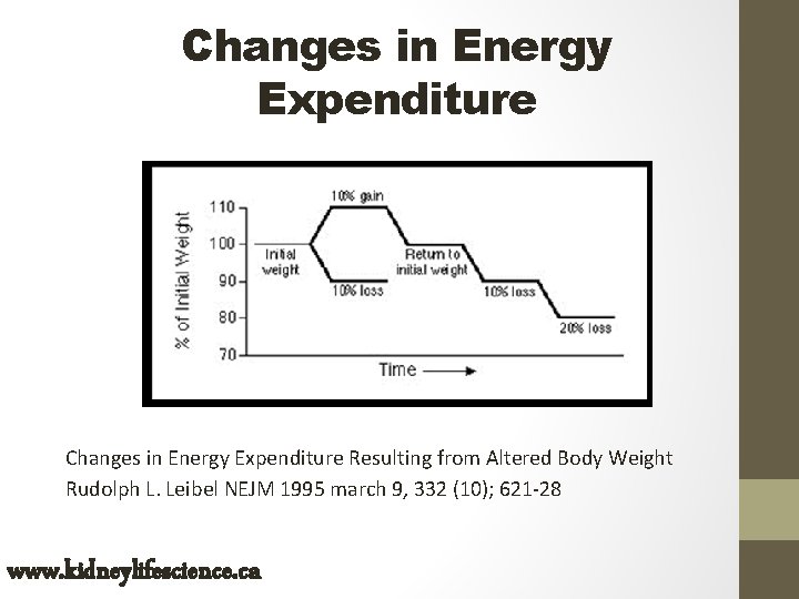 Changes in Energy Expenditure Resulting from Altered Body Weight Rudolph L. Leibel NEJM 1995