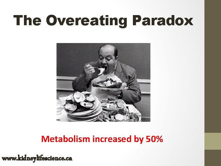 The Overeating Paradox Metabolism increased by 50% www. kidneylifescience. ca 