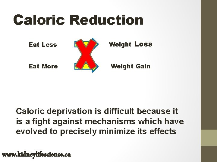 Caloric Reduction Eat Less Eat More Weight Loss Weight Gain Caloric deprivation is difficult