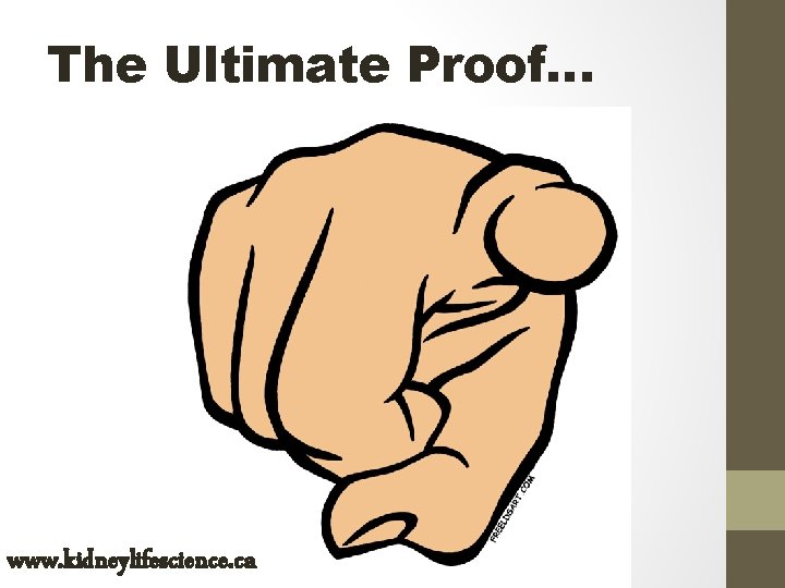 The Ultimate Proof… www. kidneylifescience. ca 