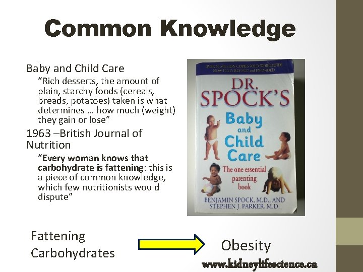 Common Knowledge Baby and Child Care “Rich desserts, the amount of plain, starchy foods