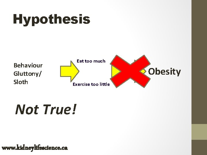 Hypothesis Behaviour Gluttony/ Sloth Eat too much Obesity Exercise too little Not True! www.