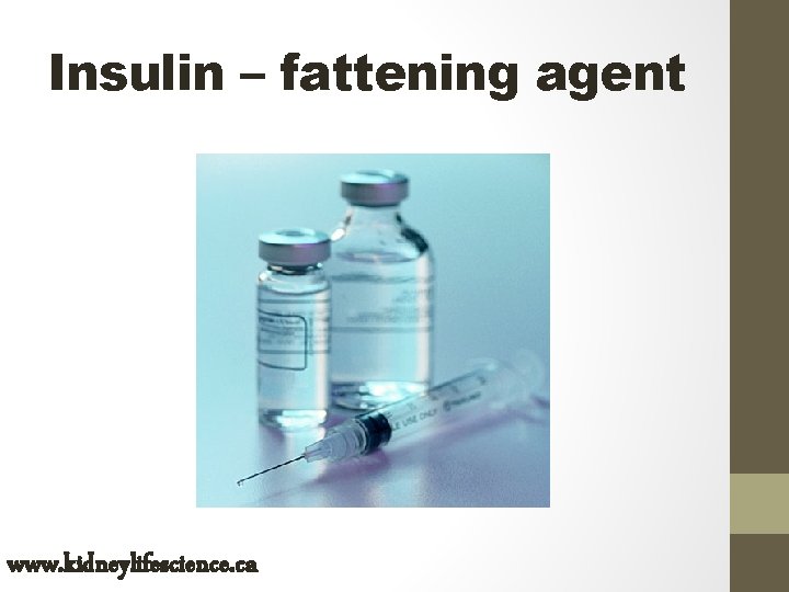 Insulin – fattening agent www. kidneylifescience. ca 