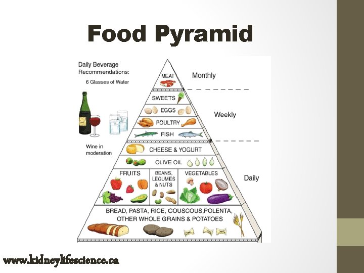 Food Pyramid www. kidneylifescience. ca 