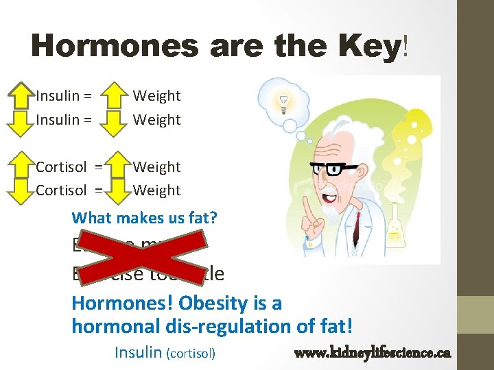 Hormones are the Key! Insulin = Weight Cortisol = Weight What makes us fat?