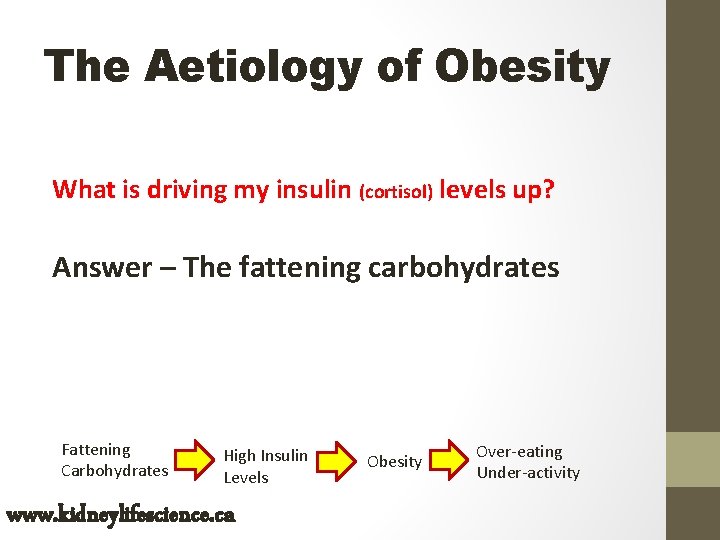 The Aetiology of Obesity What is driving my insulin (cortisol) levels up? Answer –