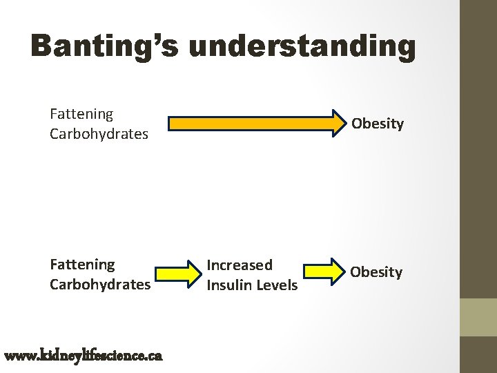 Banting’s understanding Fattening Carbohydrates www. kidneylifescience. ca Obesity Increased Insulin Levels Obesity 