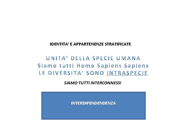 IDENTITA’ E APPARTENENZE STRATIFICATE SIAMO TUTTI INTERCONNESSI INTERDIPENDENDENZA 