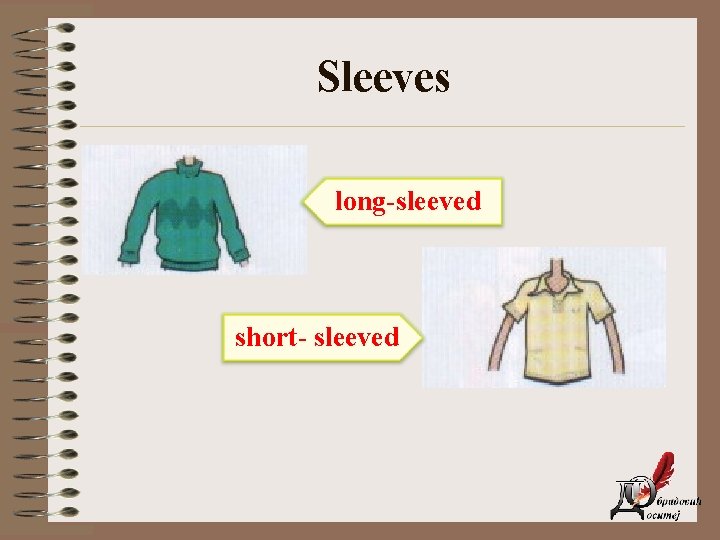 Sleeves long-sleeved short- sleeved 